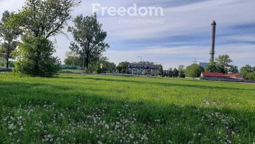 Działka inwestycyjna 7000 m   usługi.