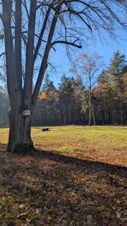 Działka Premium z prywatny lasem - 7,99ha