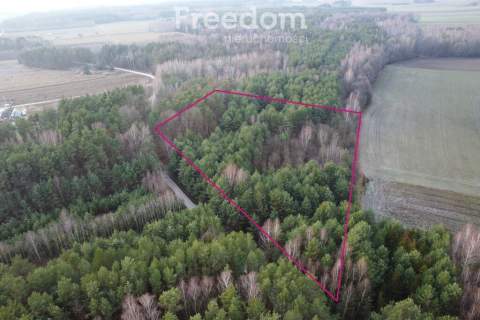 Działka leśna 6000 m2 w Mejznerzynie