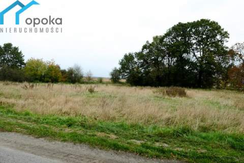 Działka usługowa, 8832 m2 przy DK