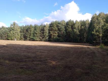 Działki budowlane 1200 m2, Wydane warunki zabudowy