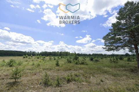Działka z wydanymi warunkami zabudowy - media, las