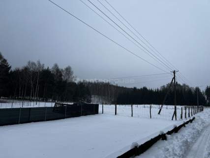 Służewo, działka ze stawem, częściowo zadrzewiona.