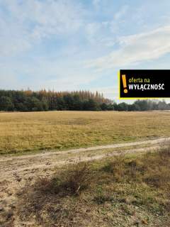 Działka blisko lasu.