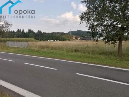 Działka usługowa 3121 m2 Leszna Górna