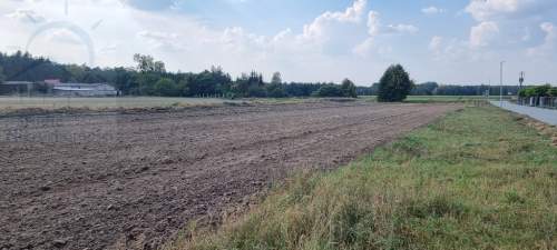 Kształtna działka z dobrym dojazdem
