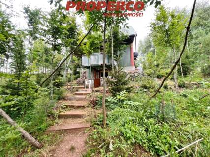 Działka 13100m2, Radkowice gm. Chęciny
