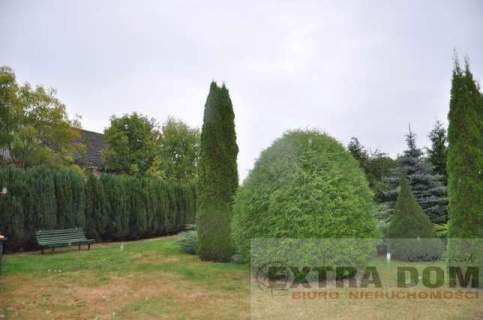1,5 ha w Łobzie 