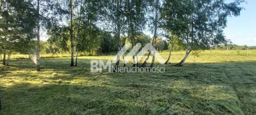 Radonie, pod rezydencję