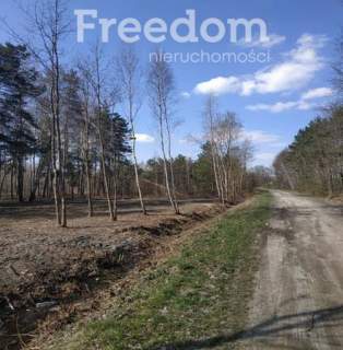 Działka budowlana 3000m2 Ludwików