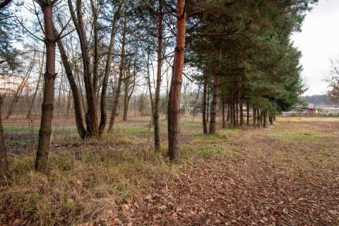 Działka budowlana Koszęcin ul. Słowików 880m2