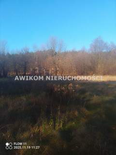 Działka siedliskowa na sprzedaż, 3000 m2, Marysin