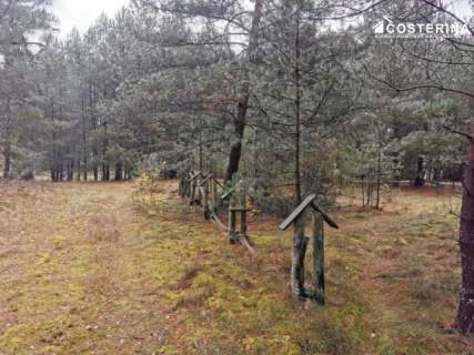 Działka rekreacyjna w Goluniu