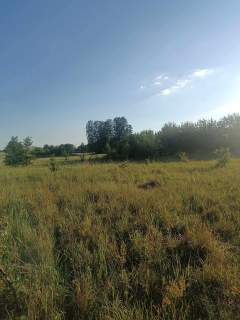 Działka Podleńce/Letniki 1000m2
