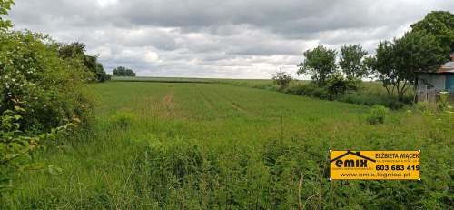 Działka z możliwością rozbudowy domu - 5 km od Chojnowa