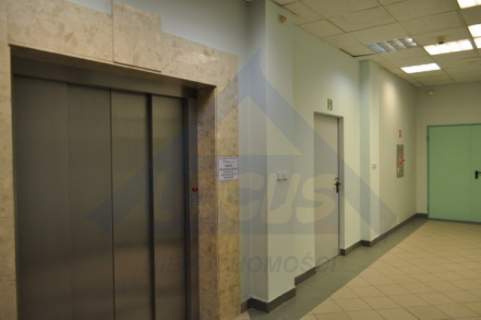 Biuro 400- 600 m2 wynajem Praga płd.