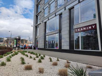 Do wynajecia lokal na parterze, Babka Tower