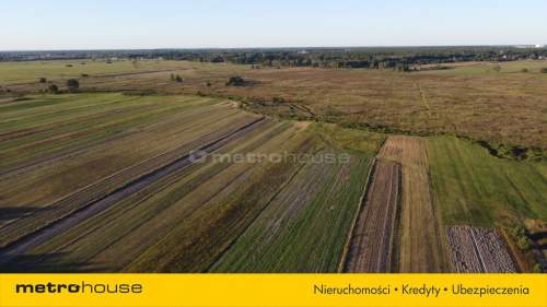 OKAZJA Działka 4000 m2 pod Radzyminem tylko 65ooo