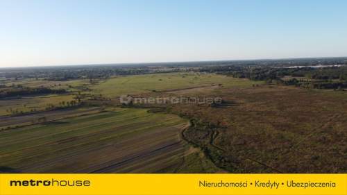 OKAZJA Działka 4000 m2 pod Radzyminem tylko 65ooo