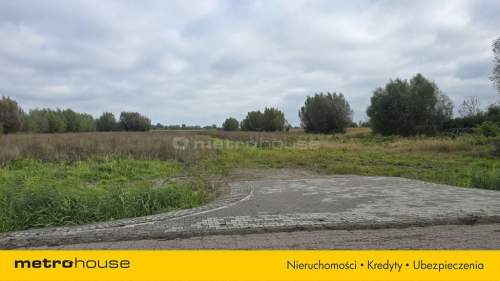 Krzewsk wieś, w której życie zwalnia tempo.