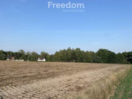 Duża działka w Cichocinie w atrakcyjnej cenie