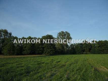 Działka rolna na sprzedaż, 24370 m2, Jaktorów
