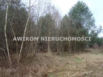 Działka siedliskowa na sprzedaż, 13323 m2, Ojrzanów