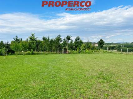 Działka 13100m2, Radkowice gm. Chęciny