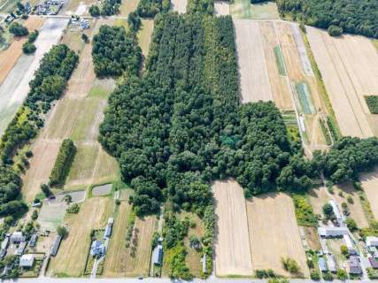 Działki budowlane z lasem - Kochanów