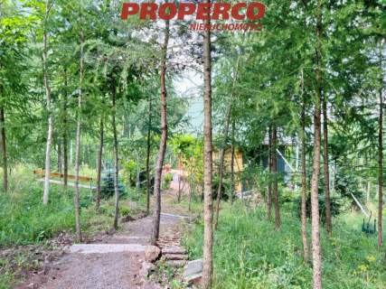 Działka 13100m2, Radkowice gm. Chęciny