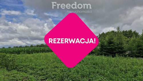 Działka 5 710 m przestrzeń i natura