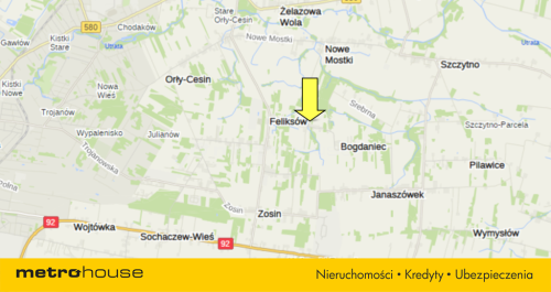 Dom, budynek gospodarczy, duża działka, Feliksów