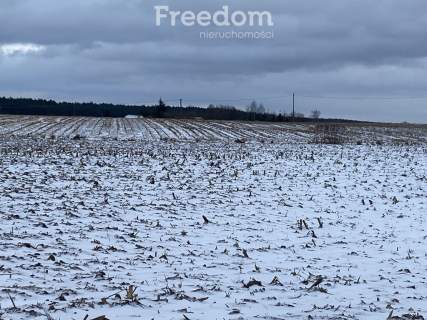Działka z warunkami zabudowy w Suchatówce