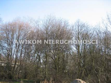 Działka budowlana na sprzedaż, 5830 m2, Milanówek
