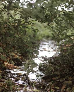 Marszewo 3029 m działka budowlana z lasem i sadem