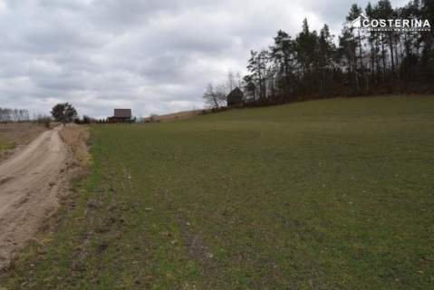 Działka z dostępem do Jeziora Polaszkowskiego 5000 m2 natury...