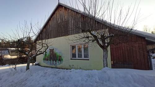 Gospodarstwo 2,3 ha. 2 Domy 2 Domki Stajnia. Bieszczady