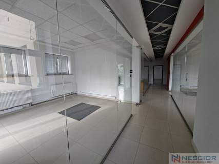 Lokal użytkowy 296,55 m   ul. Chrobrego 17