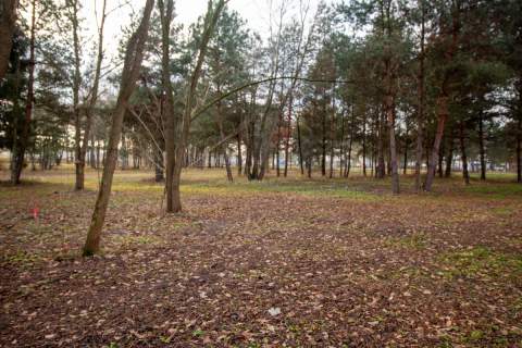 Działka budowlana Koszęcin ul. Słowików 880m2