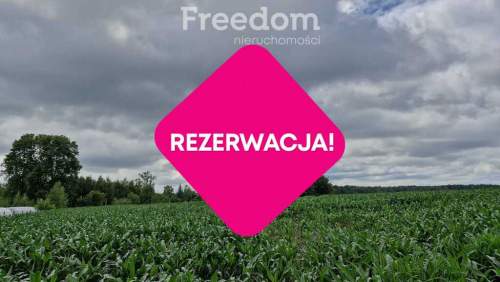 Działka 5 710 m przestrzeń i natura