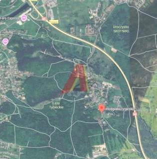 Park Bielański , działka około 30 arów