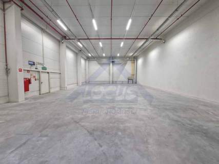 Magazyn wysokiego składowania 2500m2 Ołtarzew