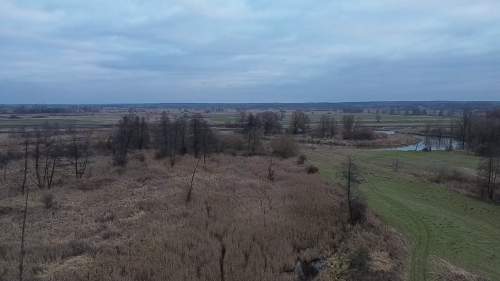 Działka leśna na sprzedaż, 35603 m2, Sarny