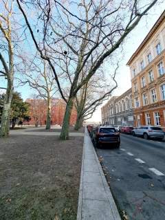 Lokal/ biuro pl. Batorego Szczecin