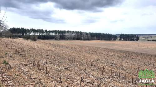 Kołaczkowo Skórzewo 1019m2 jeziora las woda