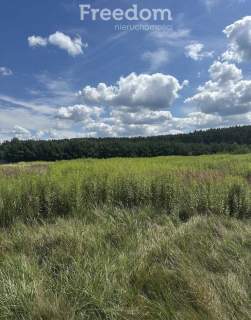 Działka budowlana 1000 m blisko lasu. Murów