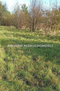 Działka budowlana na sprzedaż, 1135 m2, Budy-Grzybek