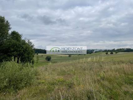 Nowa Wieś Przywidzka- dz. z panoramicznym widokiem