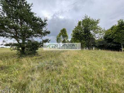 Nowa Wieś Przywidzka- dz. z panoramicznym widokiem