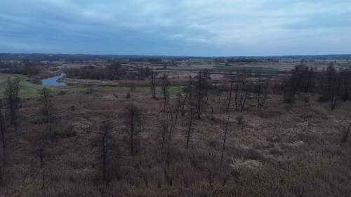 Działka leśna na sprzedaż, 35603 m2, Sarny